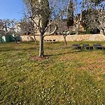 Casa Piccolina * Lovrecica (Istria)